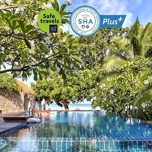 https://sairee-hut-dive-resort.tophotelskohtao.com