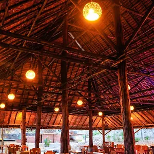 Phu Phi Phi